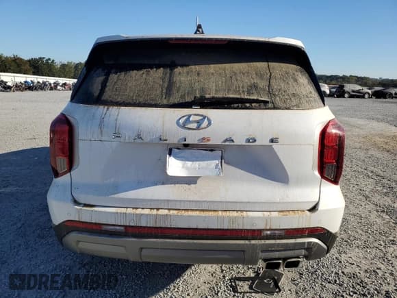 ✅ 2024 Hyundai Palisade SEL • VIN: KM8R24GE2RU780059 • Лот: 75403324. Опубликован ранее на Copart с пробегом Не указан. Бесплатный доступ к архиву аукционных продаж из США и подробный отчёт об истории автомобиля на DreamBid. Изображение 6.