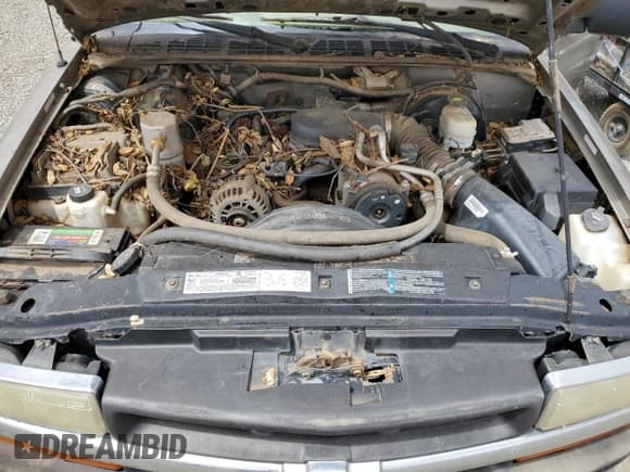 ✅ 2003 Chevrolet S-10 LS • VIN: 1GCCS14X438189908 • Лот: 54759215. Опубликован ранее на Copart с пробегом 54 131 миль. Бесплатный доступ к архиву аукционных продаж из США и подробный отчёт об истории автомобиля на DreamBid. Изображение 11.