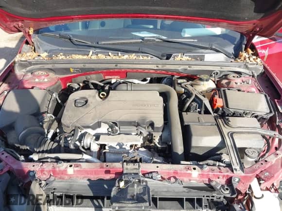 2018 Chevrolet Malibu LT with VIN 1G1ZD5ST2JF265493, listed as a IAAI auction lot 43421582 with 43,542 mi miles and . Bid and sale history available at DreamBid. Image 10.