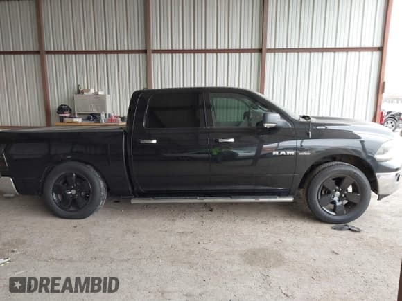 ✅ 2009 Dodge 1500 SLT • VIN: 1D3HB13T49S712884 • Lot: 41428616. Wystawiony na IAAI z przebiegiem 213 978 mil. Bezpłatny archiwum sprzedaży aukcyjnych z USA i szczegółowy raport historii pojazdu na DreamBid. Zdjęcie 13.