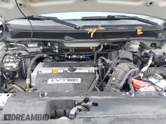 ✅ 2006 Honda Element LX • VIN: 5J6YH18336L012659 • Lot: 41952793. Wystawiony na IAAI z przebiegiem 104 118 mil. Bezpłatny archiwum sprzedaży aukcyjnych z USA i szczegółowy raport historii pojazdu na DreamBid. Zdjęcie 10.