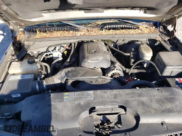 ✅ 2003 Chevrolet Silverado 1500 Work Truck • VIN: 1GCEK14V13Z328927 • Лот: 77070534. Опубликован ранее на Copart с пробегом 186 631 миль. Бесплатный доступ к архиву аукционных продаж из США и подробный отчёт об истории автомобиля на DreamBid. Изображение 11.