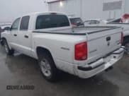 ✅ 2010 Dodge Dakota Bighorn/Lonestar • VIN: 1D7CW3GK0AS228256 • Lot: 41552140. Wystawiony na IAAI z przebiegiem 195 566 mil. Bezpłatny archiwum sprzedaży aukcyjnych z USA i szczegółowy raport historii pojazdu na DreamBid. Zdjęcie 3.