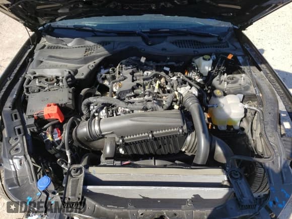 ✅ 2024 Ford Mustang EcoBoost • VIN: 1FA6P8TH2R5111676 • Лот: 42688734. Опубликован ранее на Copart с пробегом 3 955 миль. Бесплатный доступ к архиву аукционных продаж из США и подробный отчёт об истории автомобиля на DreamBid. Изображение 12.