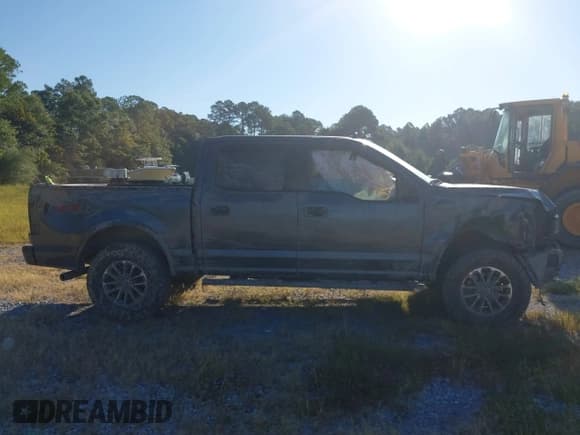 ✅ 2018 Ford F-150 Platinum • VIN: 1FTEW1E56JFE73009 • Lot: 43291757. Wystawiony na IAAI z przebiegiem 120 309 mil. Bezpłatny archiwum sprzedaży aukcyjnych z USA i szczegółowy raport historii pojazdu na DreamBid. Zdjęcie 13.