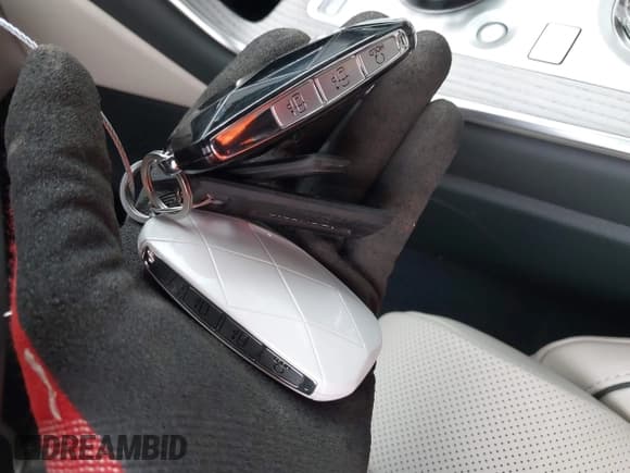 ✅ 2025 Genesis GV80 Prestige • VIN: KMUHEESC5SU239383 • Lot: 42286176. Wystawiony na IAAI z przebiegiem 8 795 mil. Bezpłatny archiwum sprzedaży aukcyjnych z USA i szczegółowy raport historii pojazdu na DreamBid. Zdjęcie 11.