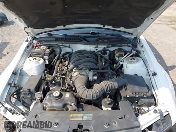 ✅ 2007 Ford Mustang GT Deluxe • VIN: 1ZVHT85H875340529 • Lot: 42430085. Wystawiony na IAAI z przebiegiem 125 816 mil. Bezpłatny archiwum sprzedaży aukcyjnych z USA i szczegółowy raport historii pojazdu na DreamBid. Zdjęcie 10.