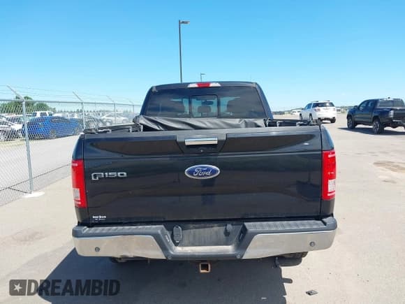 ✅ 2015 Ford F-150 XLT • VIN: 1FTEX1EP5FKE75170 • Lot: 42625465. Listed on IAAI with 150,826 mi. Free auction sales archive from the USA and detailed vehicle history report at DreamBid. Image 16.