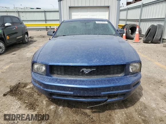 ✅ 2009 Ford Mustang • VIN: 1ZVHT80N395127410 • Lot: 53974835. Wystawiony na Copart z przebiegiem 146 356 mil. Bezpłatny archiwum sprzedaży aukcyjnych z USA i szczegółowy raport historii pojazdu na DreamBid. Zdjęcie 5.