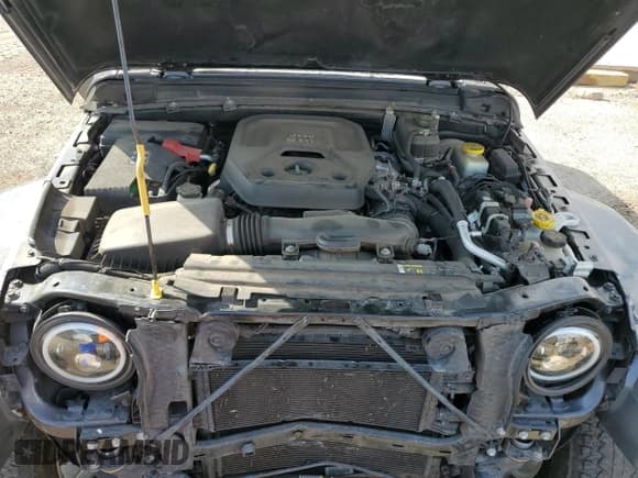 ✅ 2018 Jeep Wrangler Unlimited Sahara • VIN: 1C4HJXEN1JW193271 • Lot: 80133945. Listed on Copart with 55,821 mi. Free auction sales archive from the USA and detailed vehicle history report at DreamBid. Image 11.