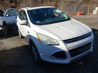 ✅ 2013 Ford Escape SEL • VIN: 1FMCU9HX4DUB19770 • Lot: 43914352. Listed on IAAI with 165,188 mi. Free auction sales archive from the USA and detailed vehicle history report at DreamBid. Image 1.