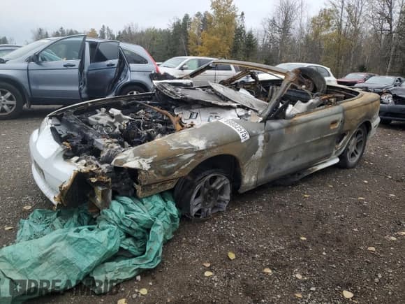 ✅ 1997 Ford Mustang GT • VIN: 1FALP45X1VF152451 • Лот: 89882575. Опубликован ранее на Copart с пробегом Не указан. Бесплатный доступ к архиву аукционных продаж из США и подробный отчёт об истории автомобиля на DreamBid. Изображение 1.