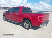 ✅ 2021 Ford F-150 XL • VIN: 1FTEW1C51MKD98315 • Lot: 43396816. Listed on IAAI with 66,557 mi. Free auction sales archive from the USA and detailed vehicle history report at DreamBid. Image 3.