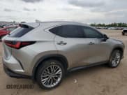 ✅ 2022 Lexus NX 350 Luxury • VIN: JTJHGCEZ6N2007244 • Lot: 64692144. Listed on Copart with 21,030 mi. Free auction sales archive from the USA and detailed vehicle history report at DreamBid. Image 3.