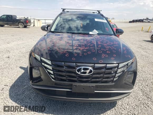 2024 Hyundai Tucson SEL with VIN 5NMJBCDE5RH385672, listed as a Copart auction lot 50835655 with 20,684 mi miles and Salvage title. Bid and sale history available at DreamBid. Image 5.