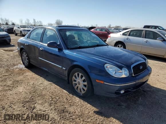2003 Hyundai Sonata GLS с VIN KMHWF35H13A744130, выставлен на аукционе Copart как лот 52763405 с пробегом 82 810 миль миль и Списание • Salvage title. История ставок и продаж доступна на DreamBid. Изображение 4.