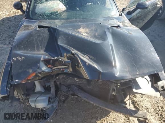 ✅ 2014 Dodge Challenger SXT • VIN: 2C3CDYAG4EH289533 • Lot: 41731625. Wystawiony na Copart z przebiegiem 178 845 mil. Bezpłatny archiwum sprzedaży aukcyjnych z USA i szczegółowy raport historii pojazdu na DreamBid. Zdjęcie 11.