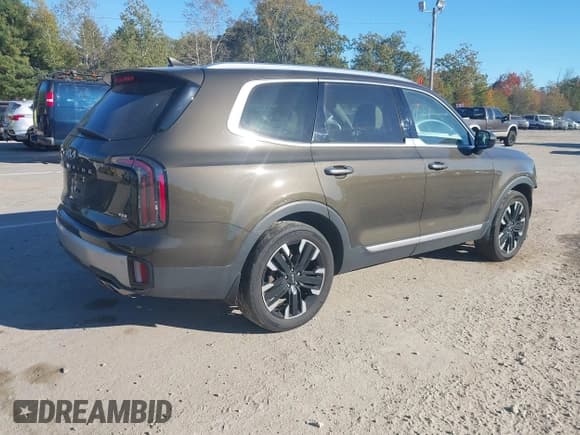 ✅ 2023 Kia Telluride SX • VIN: 5XYP5DGC5PG391139 • Lot: 43376099. Listed on IAAI with 39,790 mi. Free auction sales archive from the USA and detailed vehicle history report at DreamBid. Image 4.