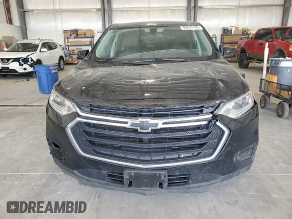 ✅ 2019 Chevrolet Traverse LS • VIN: 1GNERFKW0KJ141011 • Lot: 69295155. Wystawiony na Copart z przebiegiem 129 258 mil. Bezpłatny archiwum sprzedaży aukcyjnych z USA i szczegółowy raport historii pojazdu na DreamBid. Zdjęcie 5.