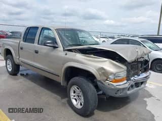 2003 Dodge Dakota SLT with VIN 1D7HG48N53S134071, listed as a IAAI auction lot 42207110 with Not provided miles and . Bid and sale history available at DreamBid. Image 1.