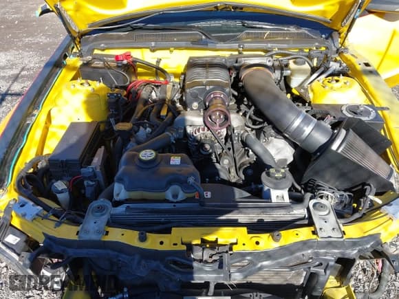 ✅ 2006 Ford Mustang GT Deluxe • VIN: 1ZVFT82H065213851 • Lot: 43545902. Wystawiony na IAAI z przebiegiem 44 386 mil. Bezpłatny archiwum sprzedaży aukcyjnych z USA i szczegółowy raport historii pojazdu na DreamBid. Zdjęcie 10.