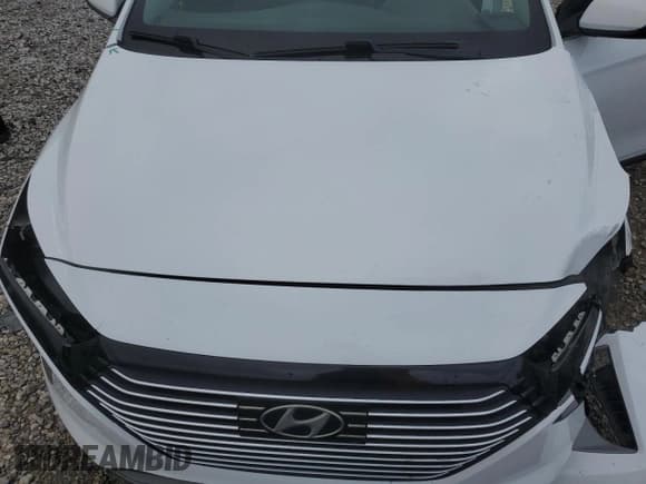 ✅ 2019 Hyundai Ioniq Limited • VIN: KMHC05LC2KU138808 • Lot: 84602014. Wystawiony na Copart z przebiegiem 137 126 mil. Bezpłatny archiwum sprzedaży aukcyjnych z USA i szczegółowy raport historii pojazdu na DreamBid. Zdjęcie 11.
