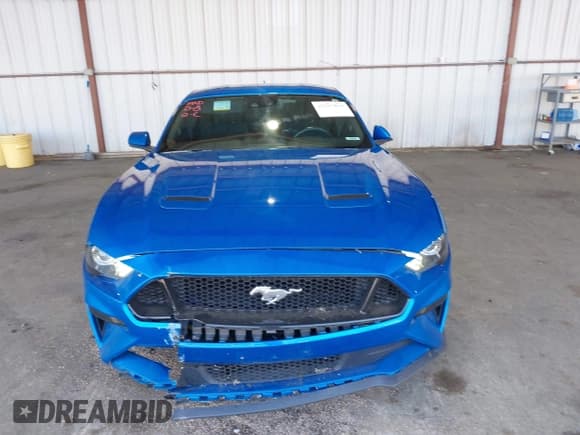 ✅ 2021 Ford Mustang GT • VIN: 1FA6P8CFXM5101257 • Lot: 42207879. Listed on IAAI with 37,036 mi. Free auction sales archive from the USA and detailed vehicle history report at DreamBid. Image 12.