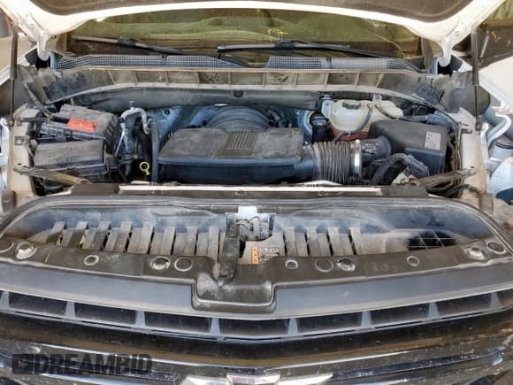 ✅ 2021 Chevrolet Silverado 1500 LT Trail Boss • VIN: 1GCPYFEL8MZ315384 • Lot: 66251155. Wystawiony na Copart z przebiegiem 110 053 mil. Bezpłatny archiwum sprzedaży aukcyjnych z USA i szczegółowy raport historii pojazdu na DreamBid. Zdjęcie 11.