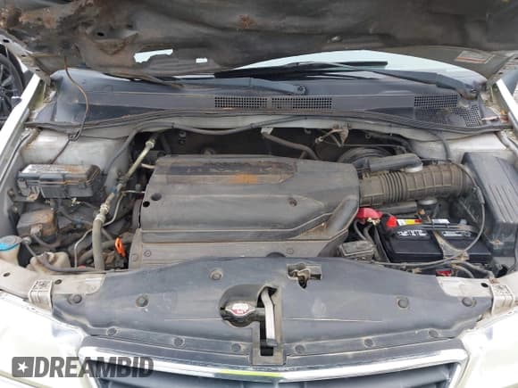 ✅ 2003 Honda Odyssey EX-L • VIN: 5FNRL18033B017812 • Лот: 43830115. Опубликован ранее на IAAI с пробегом 215 588 миль. Бесплатный доступ к архиву аукционных продаж из США и подробный отчёт об истории автомобиля на DreamBid. Изображение 10.