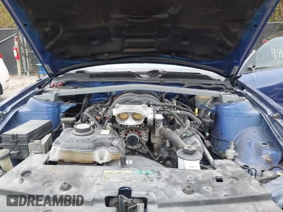 ✅ 2005 Ford Mustang GT Deluxe • VIN: 1ZVFT82H555183325 • Lot: 43329725. Listed on IAAI with 132,099 mi. Free auction sales archive from the USA and detailed vehicle history report at DreamBid. Image 10.