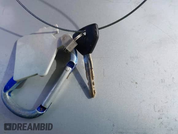 2001 Dodge 1500 with VIN 3B7HC13Y81G180651, listed as a IAAI auction lot 43547368 with 137,411 mi miles and . Bid and sale history available at DreamBid. Image 11.