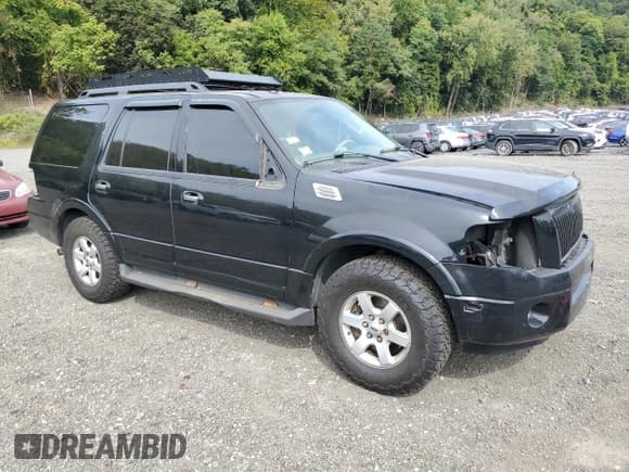 ✅ 2009 Ford Expedition SSV • VIN: 1FMFU16599EB20012 • Lot: 80764475. Listed on Copart with 185,950 mi. Free auction sales archive from the USA and detailed vehicle history report at DreamBid. Image 4.