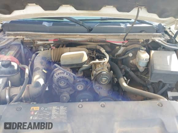 2008 Chevrolet Silverado 1500 Work Truck с VIN 1GCEC14X38Z300990, выставлен на аукционе IAAI как лот 42194226 с пробегом 284 348 миль миль и . История ставок и продаж доступна на DreamBid. Изображение 10.