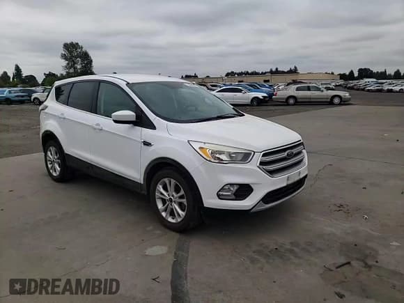 ✅ 2017 Ford Escape SE • VIN: 1FMCU0GD9HUB08904 • Lot: 71559995. Listed on Copart with 149,393 mi. Free auction sales archive from the USA and detailed vehicle history report at DreamBid. Image 13.