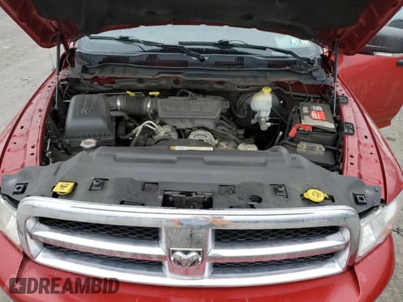 2009 Dodge 1500 SLT с VIN 1D3HV13P29S720458, выставлен на аукционе Copart как лот 43984985 с пробегом 119 775 миль миль и Списание • Salvage title. История ставок и продаж доступна на DreamBid. Изображение 11.