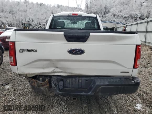 ✅ 2016 Ford F-150 XL • VIN: 1FTMF1E89GFA77025 • Lot: 82636624. Wystawiony na Copart z przebiegiem 146 152 mil. Bezpłatny archiwum sprzedaży aukcyjnych z USA i szczegółowy raport historii pojazdu na DreamBid. Zdjęcie 10.