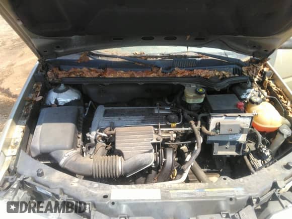 2004 Saturn ION ION 3 with VIN 1G8AK52F44Z125821, listed as a IAAI auction lot 42599275 with 195,121 mi miles and . Bid and sale history available at DreamBid. Image 10.