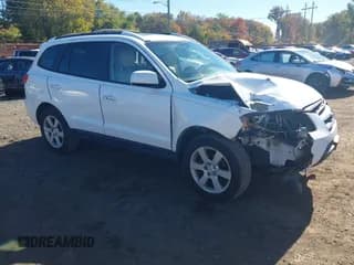 ✅ 2009 Hyundai Santa Fe Limited • VIN: 5NMSH13E69H257496 • Lot: 43441055. Listed on IAAI with 129,428 mi. Free auction sales archive from the USA and detailed vehicle history report at DreamBid. Image 1.
