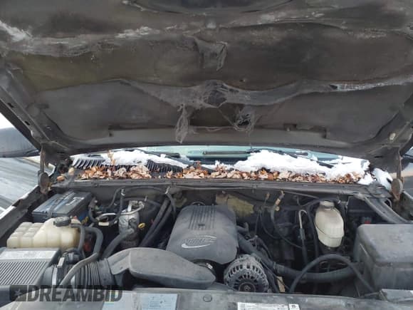 ✅ 2003 Chevrolet Silverado 2500HD LS • VIN: 1GCHK29UX3Z133797 • Lot: 43863409. Wystawiony na IAAI z przebiegiem Nie podano. Bezpłatny archiwum sprzedaży aukcyjnych z USA i szczegółowy raport historii pojazdu na DreamBid. Zdjęcie 10.