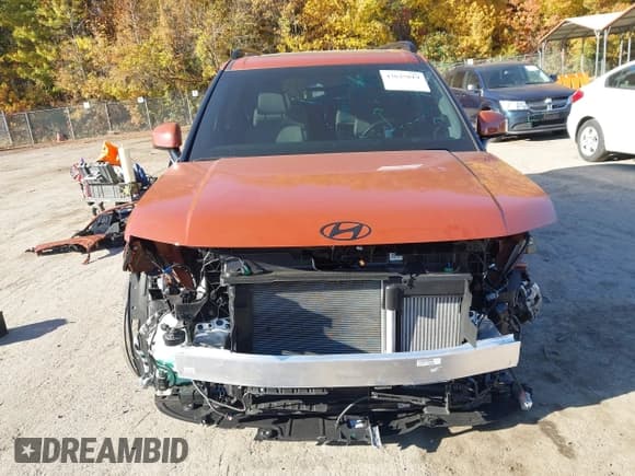 ✅ 2025 Hyundai Santa Fe Calligraphy • VIN: 5NMP5DGL5SH107376 • Lot: 43625819. Listed on IAAI with 10,575 mi. Free auction sales archive from the USA and detailed vehicle history report at DreamBid. Image 13.