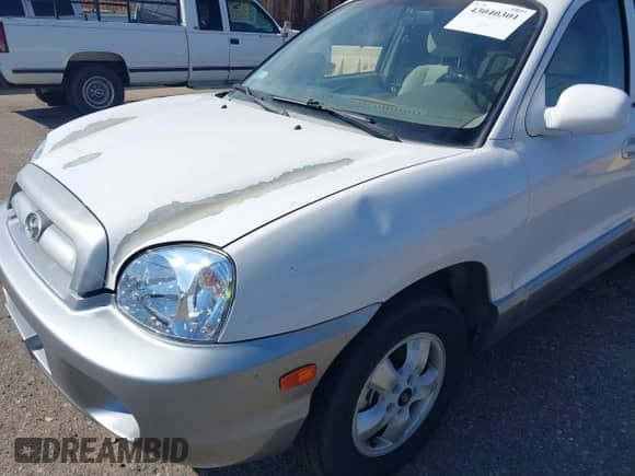 2005 Hyundai Santa Fe GLS z VIN KM8SC73E75U968818, wystawiony jako IAAI lot #43040301 z przebiegiem 200 279 mil mil oraz . Historia ofert i sprzedaży dostępna na DreamBid. Obrazek 6.