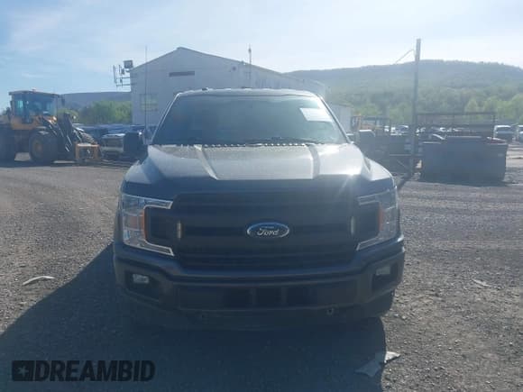 ✅ 2019 Ford F-150 XL • VIN: 1FTEX1EP1KKC64106 • Lot: 42161813. Wystawiony na IAAI z przebiegiem 127 387 mil. Bezpłatny archiwum sprzedaży aukcyjnych z USA i szczegółowy raport historii pojazdu na DreamBid. Zdjęcie 12.