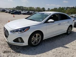 ✅ 2019 Hyundai Sonata SEL • VIN: 5NPE34AF7KH789034 • Lot: 43908303. Listed on Copart with Not provided. Free auction sales archive from the USA and detailed vehicle history report at DreamBid. Image 1.