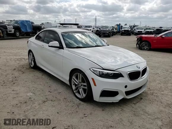✅ 2016 BMW 2 Series 228i • VIN: WBA1F9C57GV742193 • Lot: 48878695. Listed on Copart with Not provided. Free auction sales archive from the USA and detailed vehicle history report at DreamBid. Image 10.