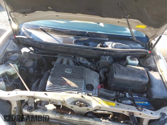 ✅ 2001 Lexus RX 300 • VIN: JTJGF10U610101161 • Lot: 43666427. Listed on IAAI with 178,375 mi. Free auction sales archive from the USA and detailed vehicle history report at DreamBid. Image 10.