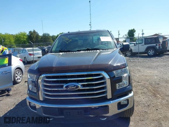 ✅ 2015 Ford F-150 XLT • VIN: 1FTFX1EG8FFC71959 • Lot: 42117769. Listed on IAAI with 207,456 mi. Free auction sales archive from the USA and detailed vehicle history report at DreamBid. Image 6.