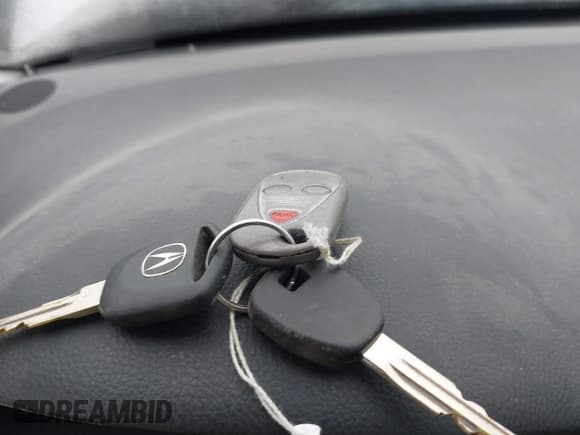 ✅ 2008 Acura TSX • VIN: JH4CL968X8C013840 • Lot: 43755558. Listed on IAAI with 209,287 mi. Free auction sales archive from the USA and detailed vehicle history report at DreamBid. Image 11.