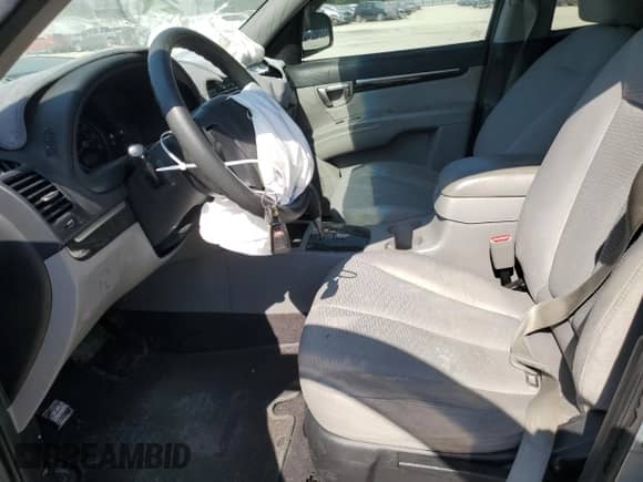 2009 Hyundai Santa Fe GLS с VIN 5NMSG13D19H246805, выставлен на аукционе Copart как лот 52576334 с пробегом 207 023 миль миль и Списание • Salvage title. История ставок и продаж доступна на DreamBid. Изображение 7.