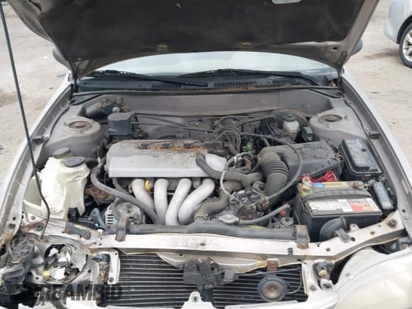 ✅ 1999 Toyota Corolla VE • VIN: 2T1BR12E2XC142458 • Lot: 42879723. Listed on IAAI with 140,141 mi. Free auction sales archive from the USA and detailed vehicle history report at DreamBid. Image 10.