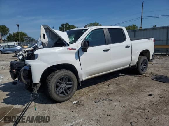 2021 Chevrolet Silverado 1500 Custom Trail Boss with VIN 1GCPYCEFXMZ164251, listed as a Copart auction lot 80461925 with Not provided miles and Salvage title. Bid and sale history available at DreamBid. Image 1.